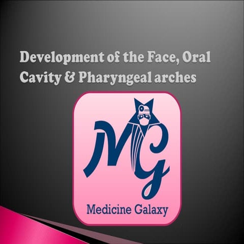 Development of the Face, Oral Cavity & Pharyngeal arches