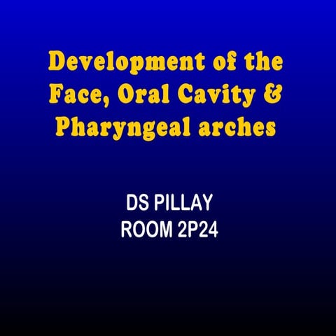 Development of the Face, Oral Cavity & Pharyngeal arches
