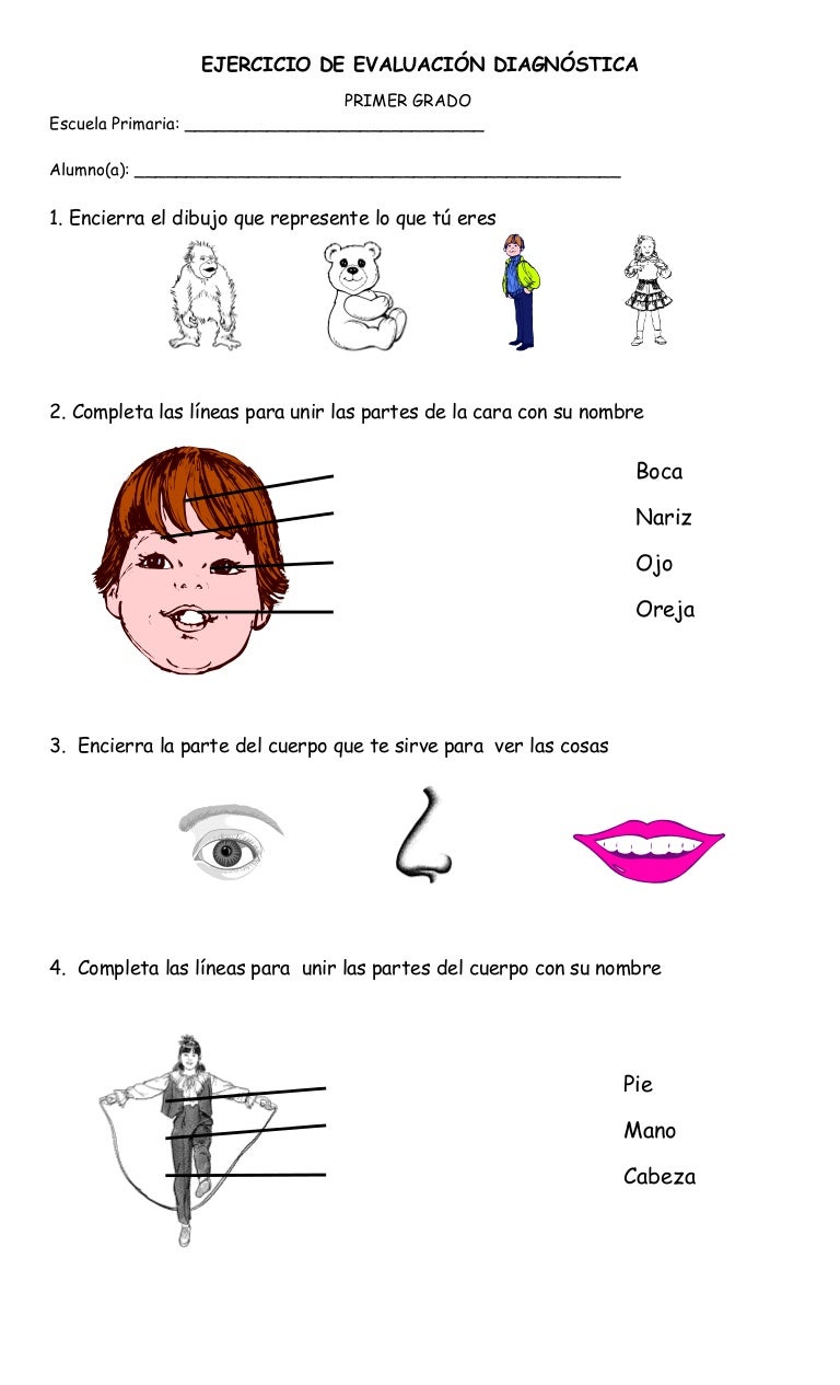 01 diagnosticoprimergrado