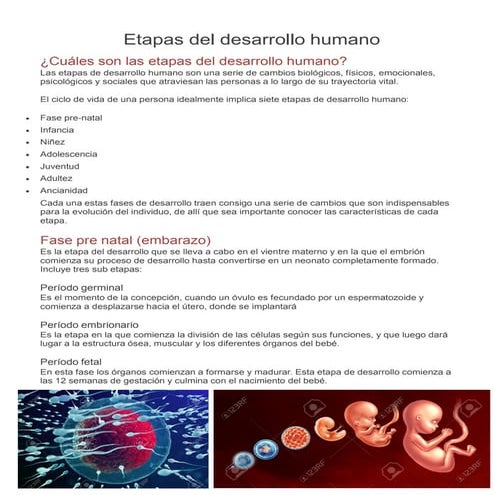 Etapas del desarrollo humano.PDF