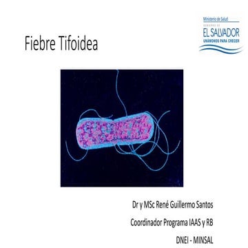 01-Fiebre-Tifoidea.pdf