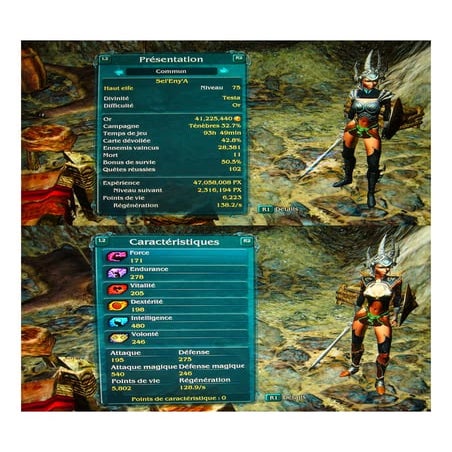 01 he-presentation-carac