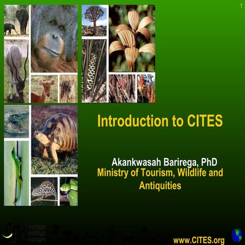 Introduction to CITES 