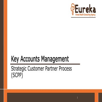 Key Account Management