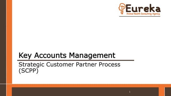 Key Account Management | PPT