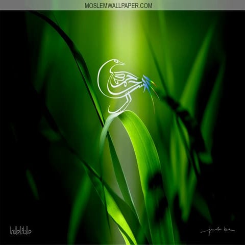 01-Lecture .NeuroAnatomy of Meninges of brain and spinal cord