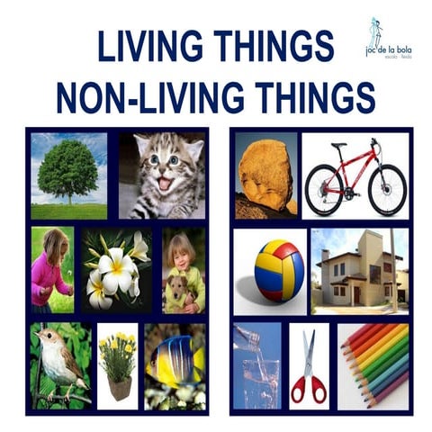 LIVING THINGS - NON-LIVING THINGS