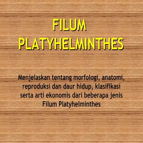 platyhelminthes