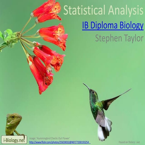 Statistical Analysis