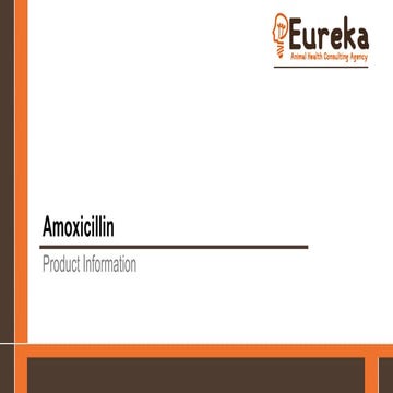 Amoxicillin product-information