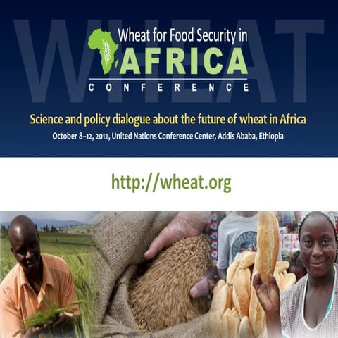 Ensuring food security under a changing climate & the potential of wheat in A...