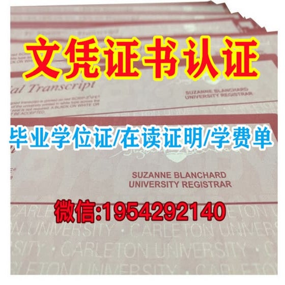  ppt