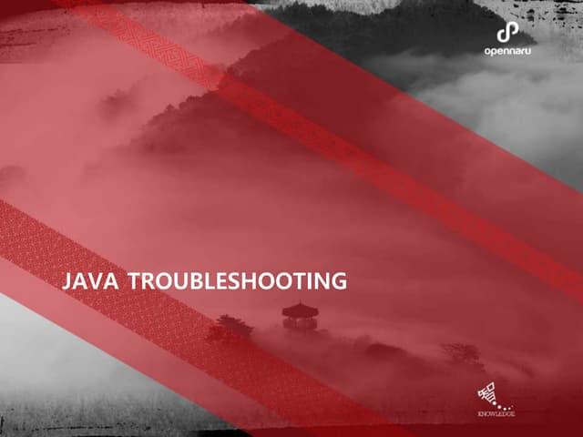 010.JAVA TROUBLESHOOTING