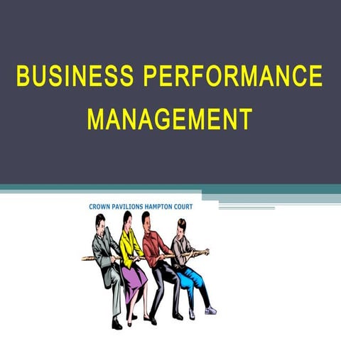 011 business performance management