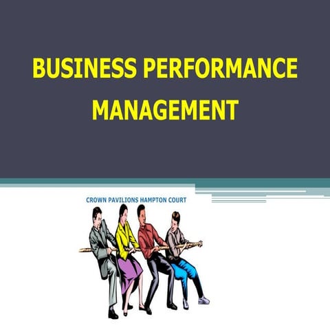 011 business performance management
