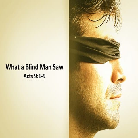 What a Blind Man Saw