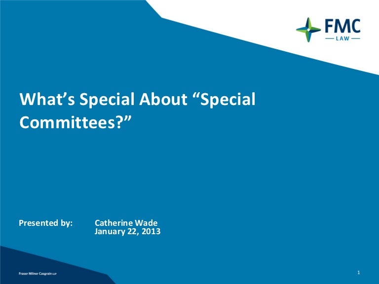 What's Special About "Special Committees"?