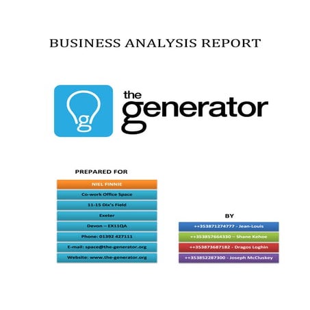 the-generator group - report