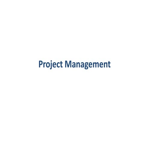Project management