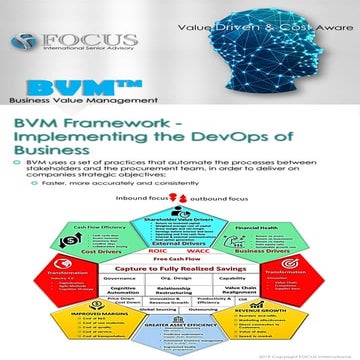 BVM - Business Value Management Framework