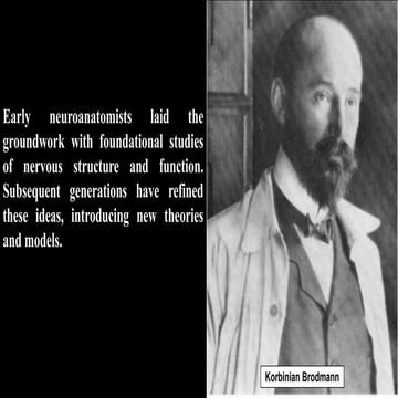 Cerebrum/ Cerebrum/ Cerebrum/ Cerebrum.pdf