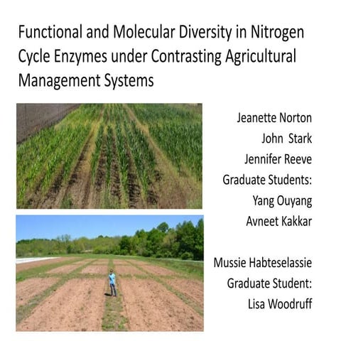 Biochair to conserve carbon and nitrogen in an arid region soil of low ...