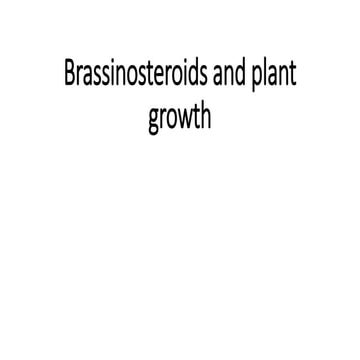 ubaidafzal018@gmail.com