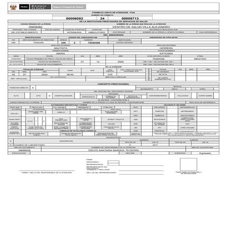 FORMATO FUA.pdf