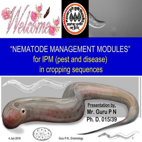 Nematode Management Modules for IPM in cropping sequences