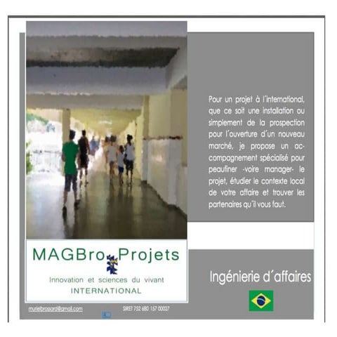 Muriel Brossard, Ceo at magbro projets at Magbro projetos