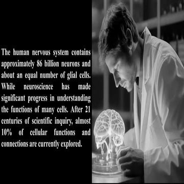 Blood Supply and lymphatics of CNS / Blood Supply and lymphatics of CNS.pdf