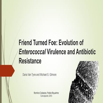 Enterococcus Generalidades Virulencia y Resistencia Antibiotica