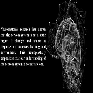 Ventricular system-A/ Ventricular system-A.pdf