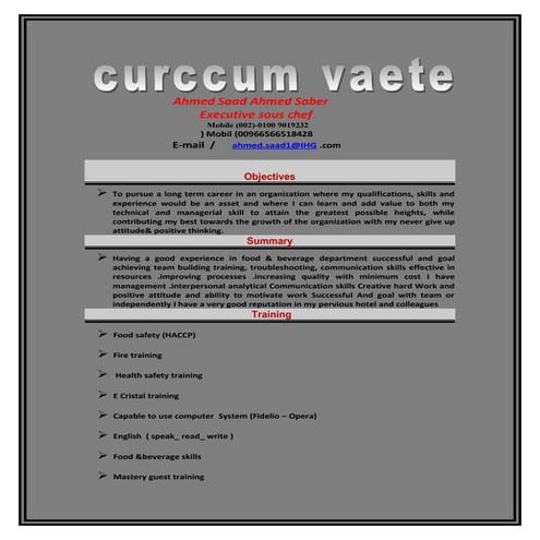 haytham burhan cv (1) | DOC
