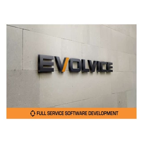 Evolvice Group Summary