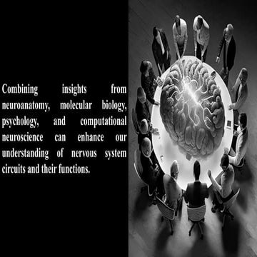 Ventricular system B/ Ventricular system B.pdf