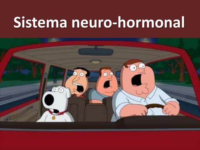 Sistema neuro-hormonal