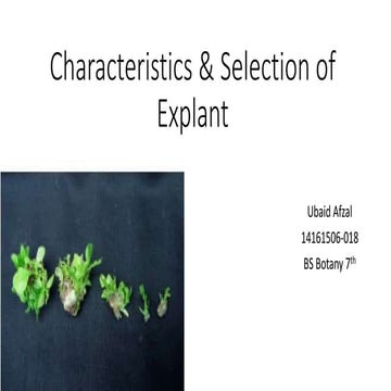 Inoculation of explants | PPTX