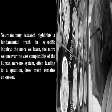 Subcortical Gray Matter / Subcortical Gray Matter.pdf