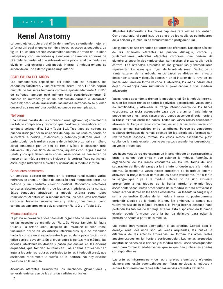 Cap 01 Anatomia Renal Comprehensive Clinical Nephrology