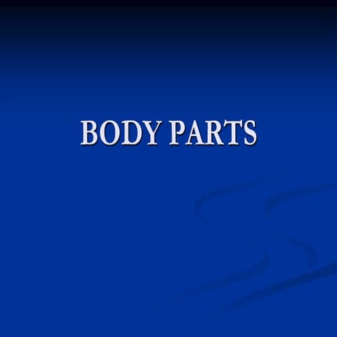 01 bodyparts