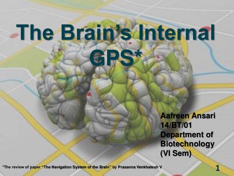 The Brain GPS System