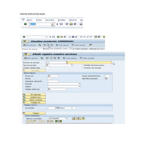 Crear Servicios SAP 01b servicios ac01 y ac06 | DOCX