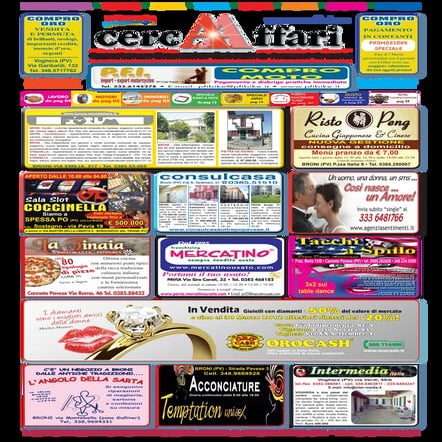 cercAAffari prima pagina edizione n. 4/2012