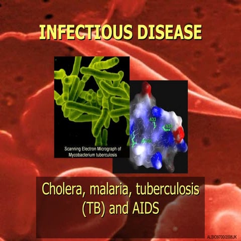 01 Cholera, Malaria, Tuberculosis (TB) and AIDS