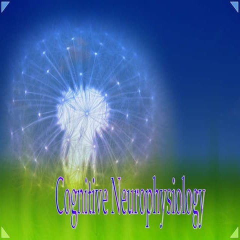 Cognitive Neuroscience an  Introduction