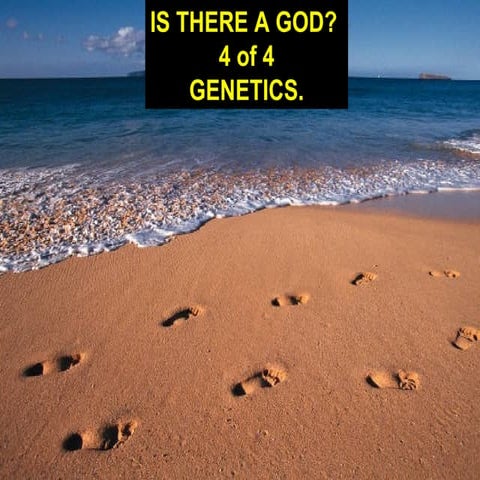 01d 0 genetics_is_there_god