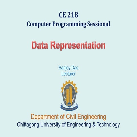 Data representation | PPT