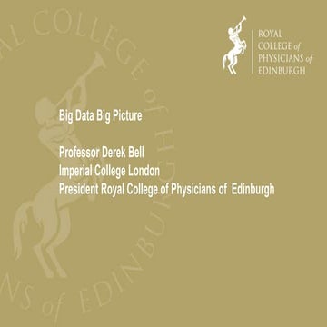Big Data Big Picture - Professor Derek Bell