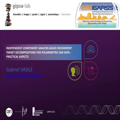 01 gabriel vasile_igarss_2018